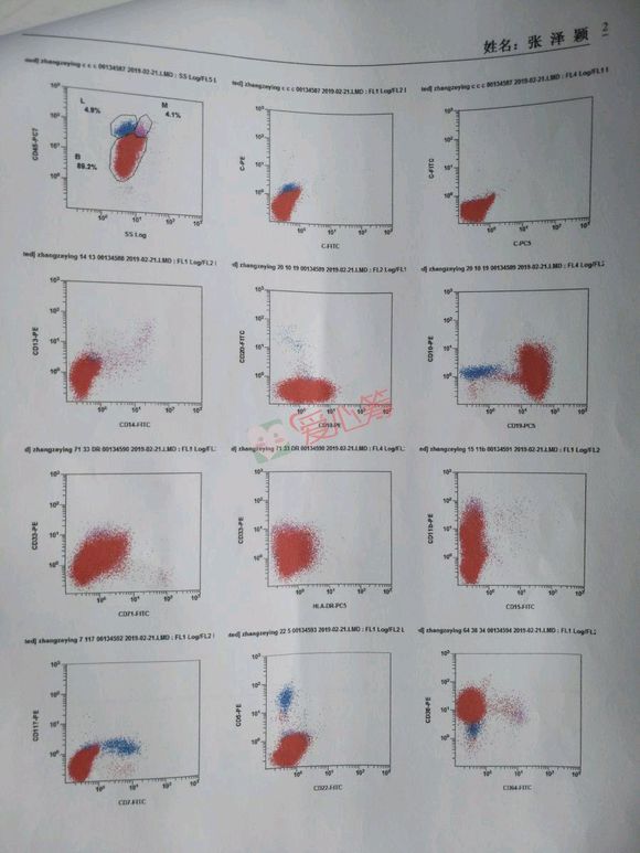 我侄子被检查出白血病了